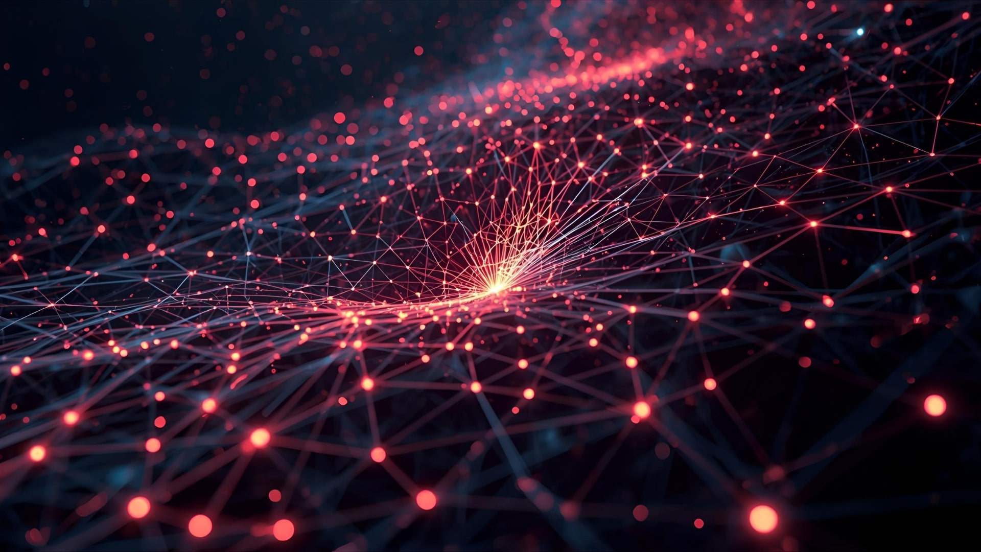 Beginner’s Guide to Web Directories and How They Work